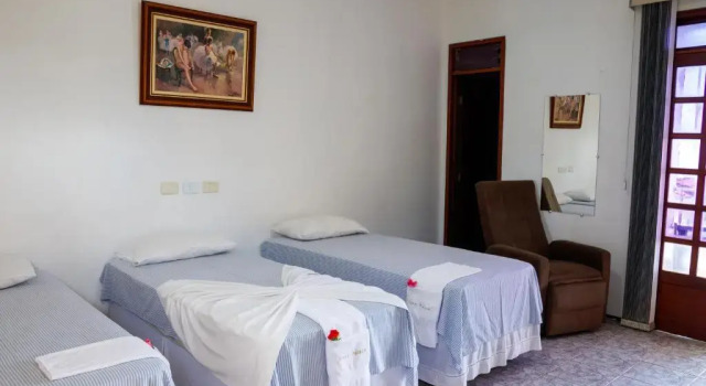 Семейный номер Standard Viana Palace Hotel
