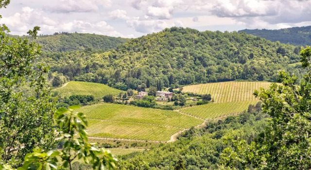 Апартаменты A Vineyard Apartment Retreat
