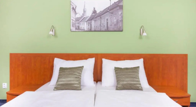 Двухместный номер Standard Hotel Bratislava