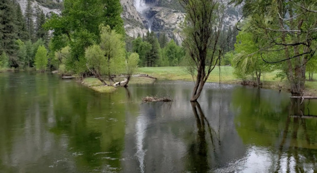 Yosemite Foothill Retreat - Private Guest Suite #3, Забронировать Гостевой дом Гостевые дома Корсголд, Гостевой дом