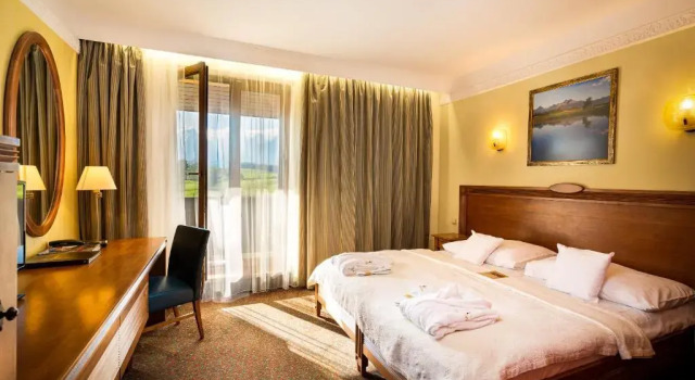 Двухместный номер Standard с видом на горы Hotel International