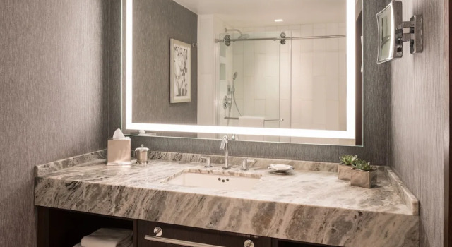 Двухместный номер Deluxe The Ritz-Carlton Atlanta