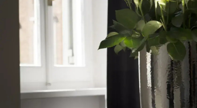 San Carlo Executive Apartment, Prenota Appartamento Roma Lazio