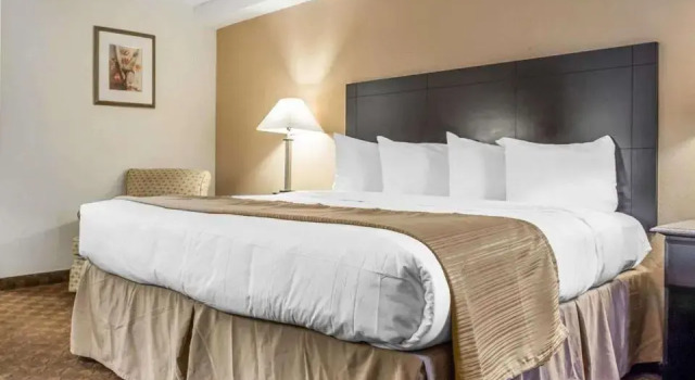 Номер Standard Quality Inn & Suites Coliseum