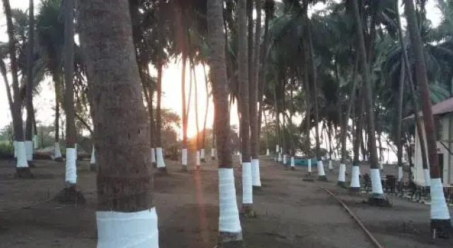 La Mer Beach Resort