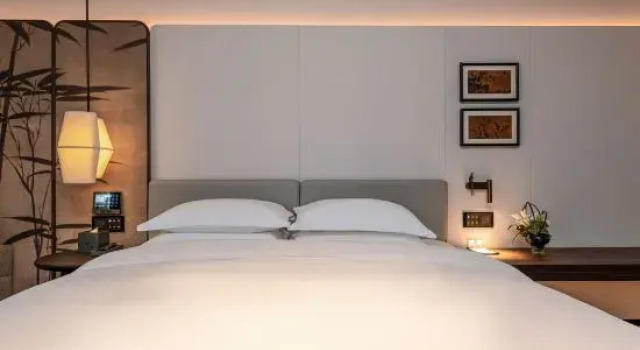 Люкс Executive Days Hotel by Wyndham Leiyang North