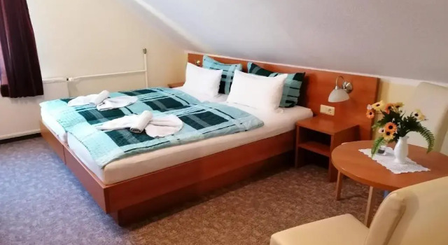 Двухместный номер Standard Hotel Garni zum Goldenen Ring