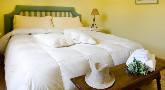 Agriturismo Potrero Grande, Prenota Hotel Hotel SPA a Lazio, SPA