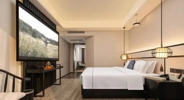 Luxo Suite Junlin Banshan Hotel