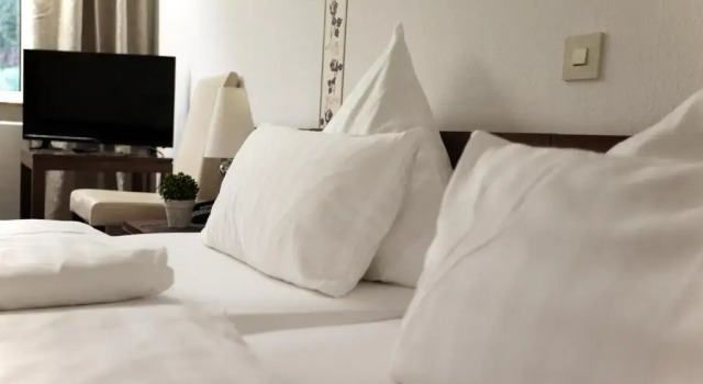 Двухместный номер Standard Hotel Zur Burg Sternberg