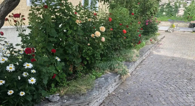 Апартаменты Apartments Strandgatan Visby
