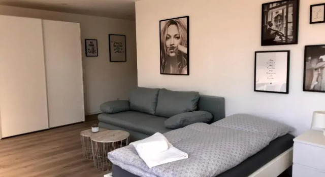 Апартаменты c 1 комнатой Deluxe Apartments Messe Flughafen
