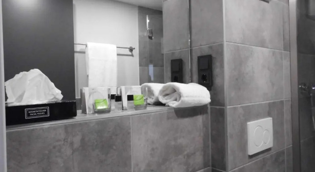 Трёхместный номер Premium ARRIVEL Hotel Kirchheim - bisher Novitel
