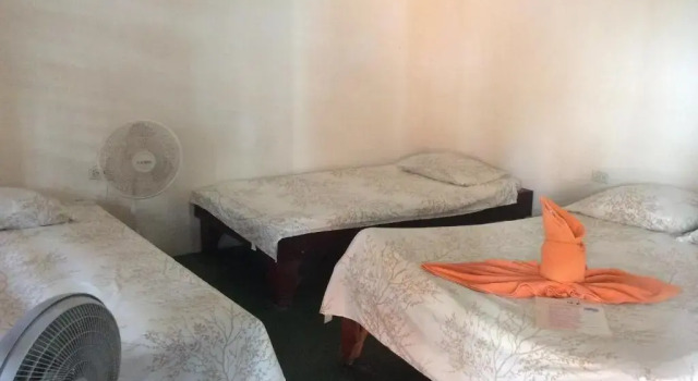 Номер Standard Cabinas Balcon de Mar Tortuguero
