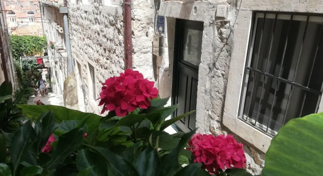 Apartment Dubrovnik-Center