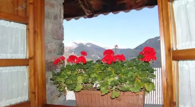 Номер Standard Casa Palacin