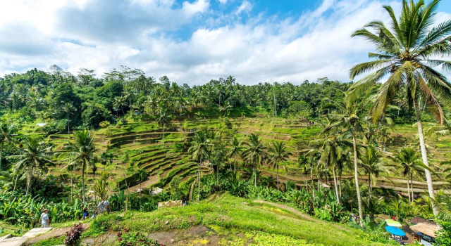 Taman Bintang Villa Ubud, Rezervovat Vila Vily v Bali, Vila