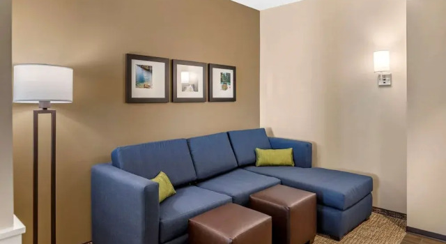 Номер Standard Comfort Inn & Suites Clarkston Pine Knob Area