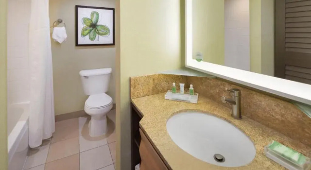 Двухместный номер Deluxe Holiday Inn San Jose-Silicon Valley by IHG