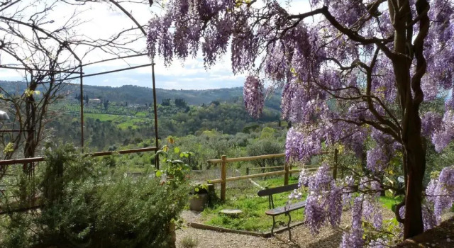 Il Casalone, Buchen Sie Hotel Impruneta Chianti