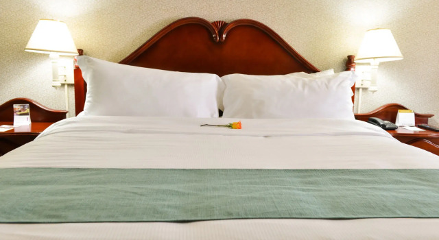 Hotel Plaza Del Libertador, Rezervovat Hotel Hotely v Francisco Morazan se snídaní, Snídaně