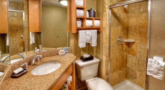 Студия Hampton Inn Nashville/Brentwood-I-65S