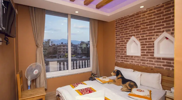 Одноместный номер Deluxe Blue Mountain Home Stay