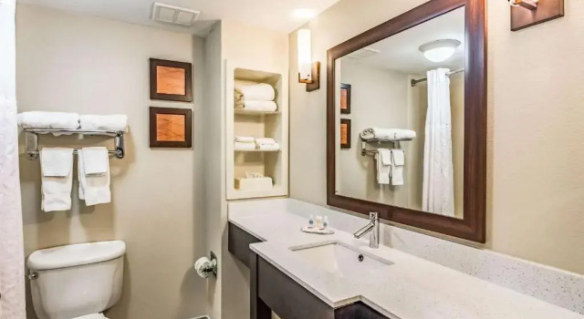 Четырёхместный люкс Comfort Inn & Suites Chattanooga West - Lookout Mountain