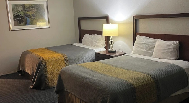 Двухместный номер Standard Apm Inn & Suites