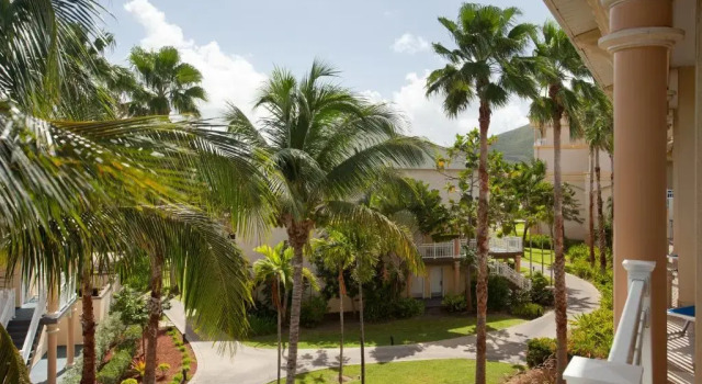 Двухместный номер Standard с красивым видом из окна St Kitts Marriott Beach Resort, Casino & Spa
