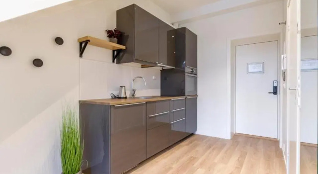 Студия MAYA Apartments - Grünerløkka