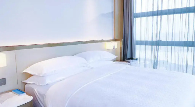 Двухместный люкс Premier c 1 комнатой Four Points by Sheraton Wuhan, Jiangxia