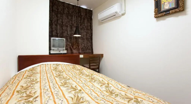 Одноместный номер Standard Hotel Hayashi