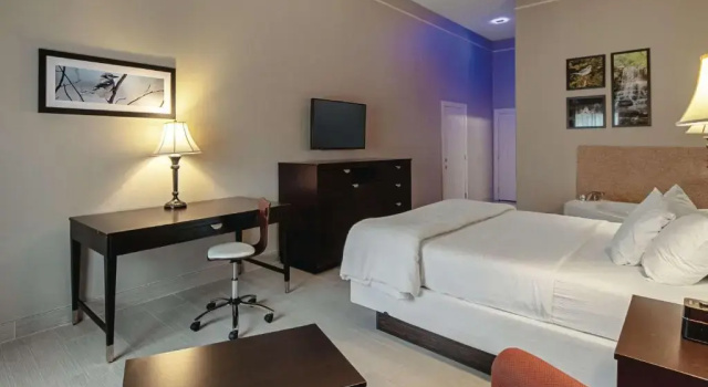 Четырёхместный люкс c 1 комнатой La Quinta Inn & Suites by Wyndham Alamo - McAllen East