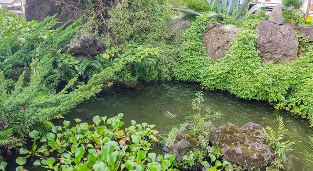 Seogwipo Jayudosi Pension, Забронировать Отель Отели Согвипхо 3 звезды, рядом с Yeomiji Botanic Garden, 3*
