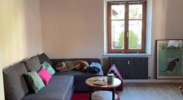 Le Hohwald centre appartement 2 pièces # 102