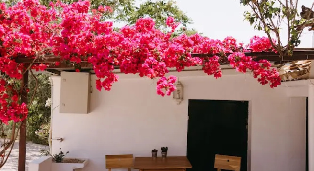 Апартаменты Finca Serrato
