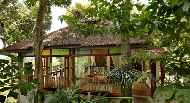 Полулюкс Ambong Rainforest Retreat