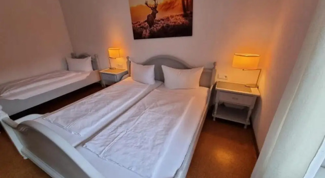 Трёхместный номер Standard Hotel Zur Tanne