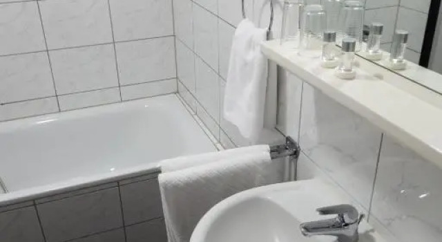 Трёхместный номер Standard Hotel Rubin