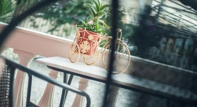 Студия Zante Nest Studios & Apartments