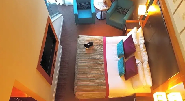 Полулюкс Norton House Hotel & Spa, Edinburgh
