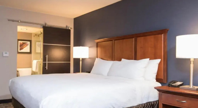 Standard- værelse DoubleTree by Hilton Schenectady Downtown