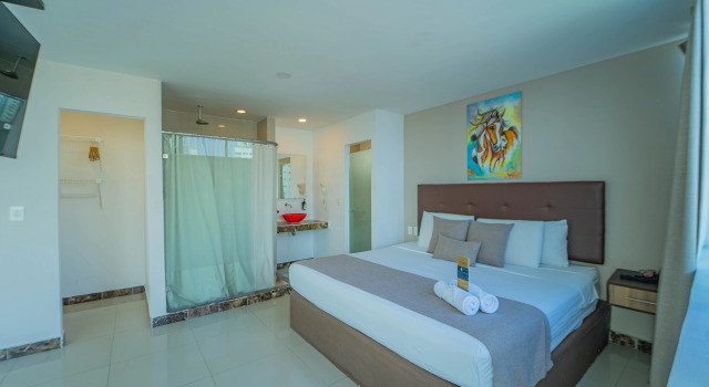 Двухместный номер Superior Hotel La Gran Via