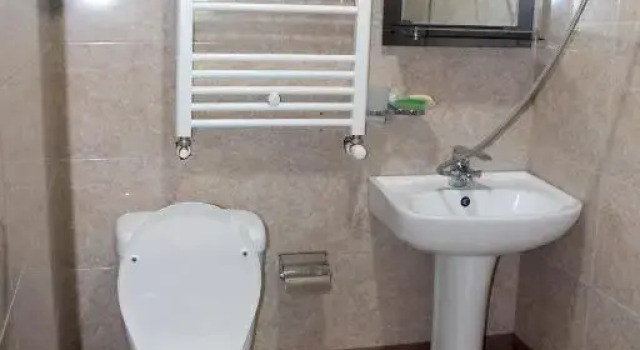 Camera Standard Teli Guest House