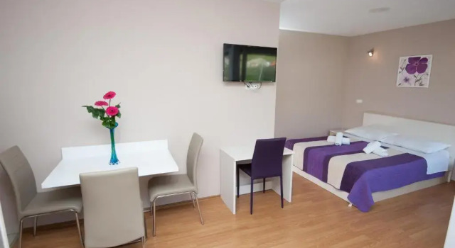 Студия с балконом Apartments Vlasic