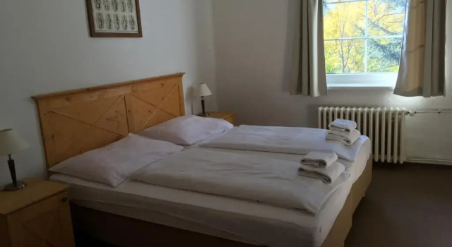 Двухместный номер Standard Hotel Tři Růže