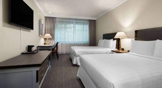 Четырёхместный номер Standard Wyndham Monterrey Ambassador Centro