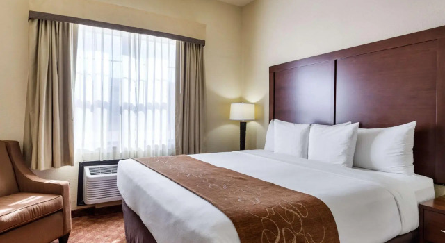 Люкс c 1 комнатой Comfort Suites near NASA - Clear Lake