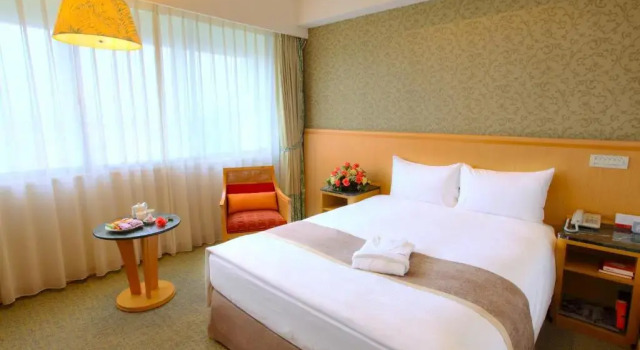 Двухместный номер Deluxe Chateau de Chine Hotel Hualien